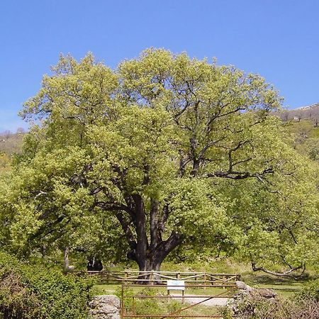 Casa Rural Romanejo Cabezabellosa Zewnętrze zdjęcie