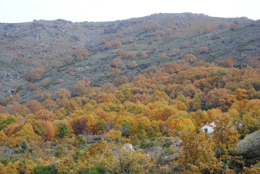 Casa Rural Romanejo Cabezabellosa Zewnętrze zdjęcie